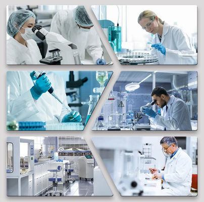 15 años de experiencia en pintura de automóviles, capa base para reparación de automóviles, cinta de enmascaramiento