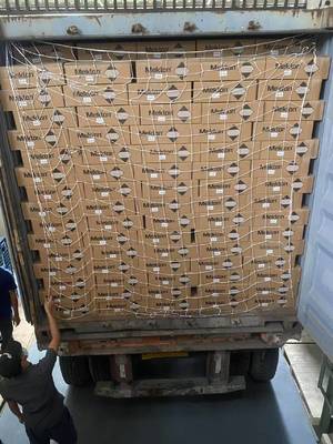 Pintura de automóvil de larga duración de secado rápido 1K Pintura de base de perla verde joven