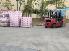 Pintura de rocío para automóviles Inmaculada
